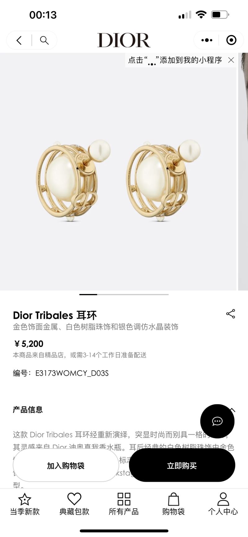 Christian Dior Earrings